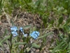 dsc5029