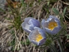 dsc5039
