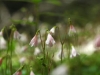 dsc_0191a