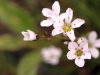 dsc_5475a