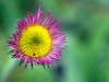 dsc_5477a