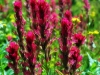 dsc_5843a