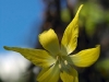 dsc_7604a