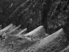 dsc_8555a