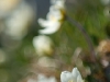 dsc5063