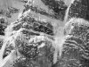 dsc4319