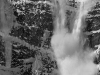 dsc4350